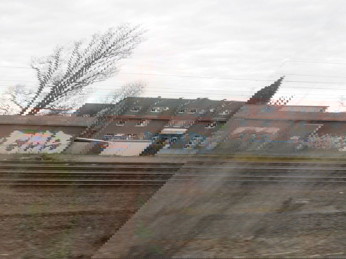 Graffiti Bombing - Photo by Spotted - Ems (2011)