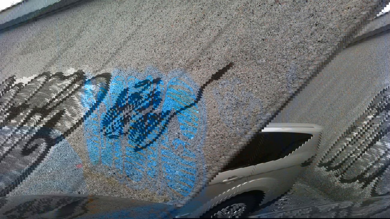 Graffiti Bombing in Oldenburg - Photo by Spotted - Saftig, Sf (2011)