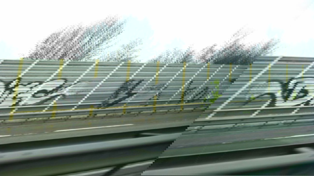 Graffiti Bombing in Delmenhorst - Photo by Spotted - Ditc (2012)