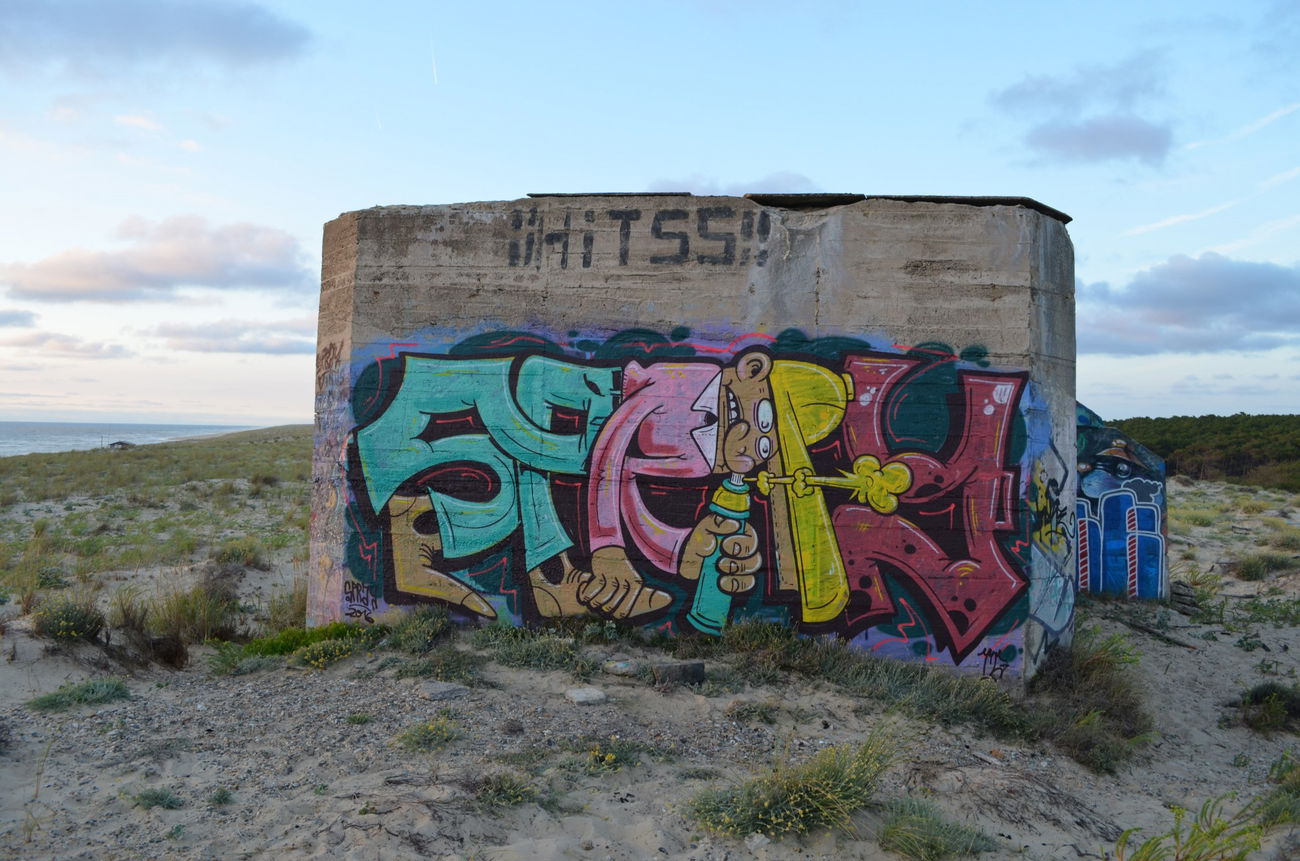 Graffiti Wall in France - Photo by Spray (2016)