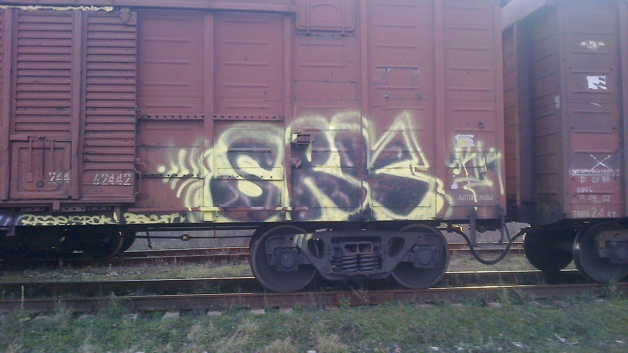 Graffiti Train - Photo by Srok