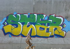 Photo #2852 by Nets1