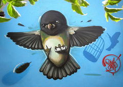 Photo #23808 by Belt