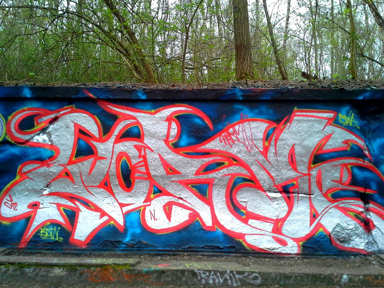 Graffiti Wall - Photo by StanLee - swa, bdtn, worm (2014)