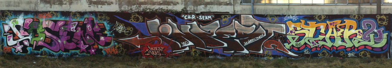 Graffiti Wall - Photo by Startwo - Cosen, Inzest, Star2 (2012)