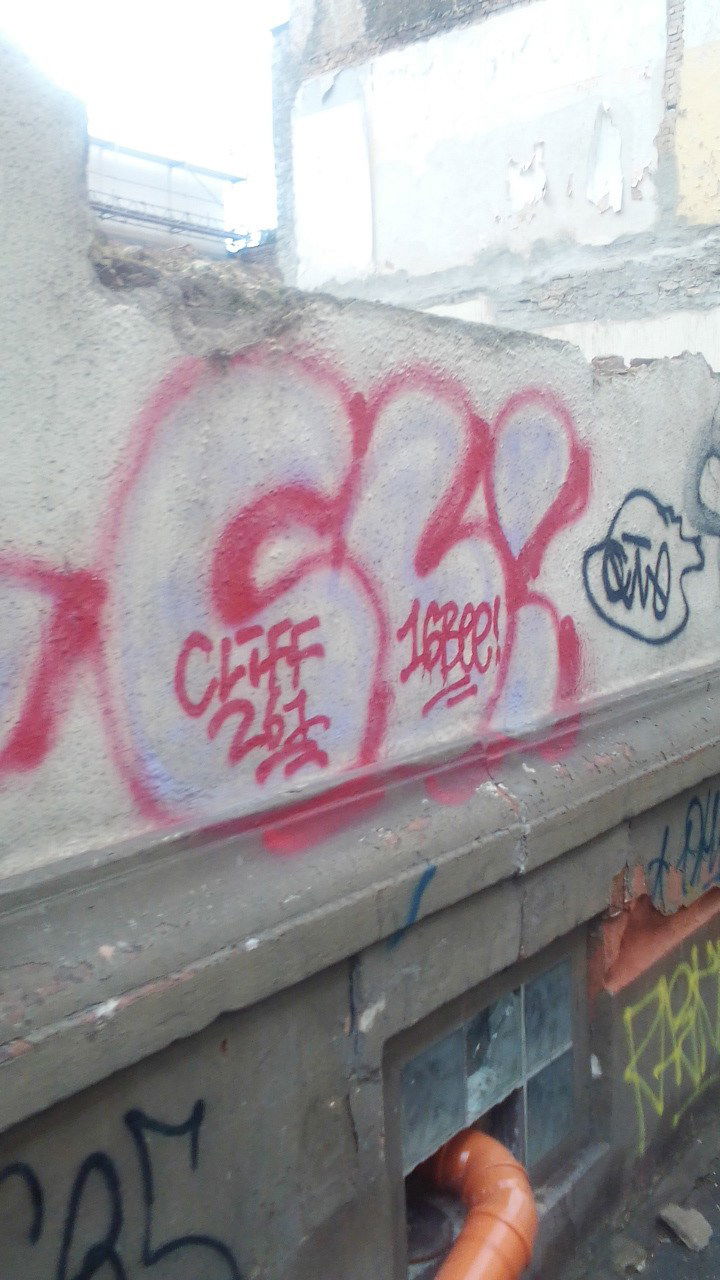 Graffiti Wall - Photo by Statist