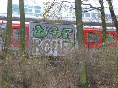 Graffiti Wall - Photo by Statist