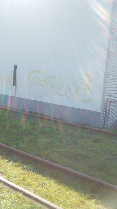 Graffiti Wall - Photo by Statist