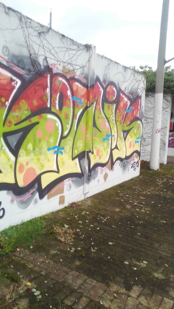 Graffiti Wall - Photo by Statist