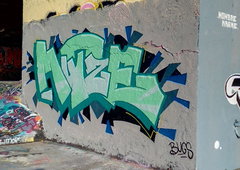 Photo #230681 by DCT