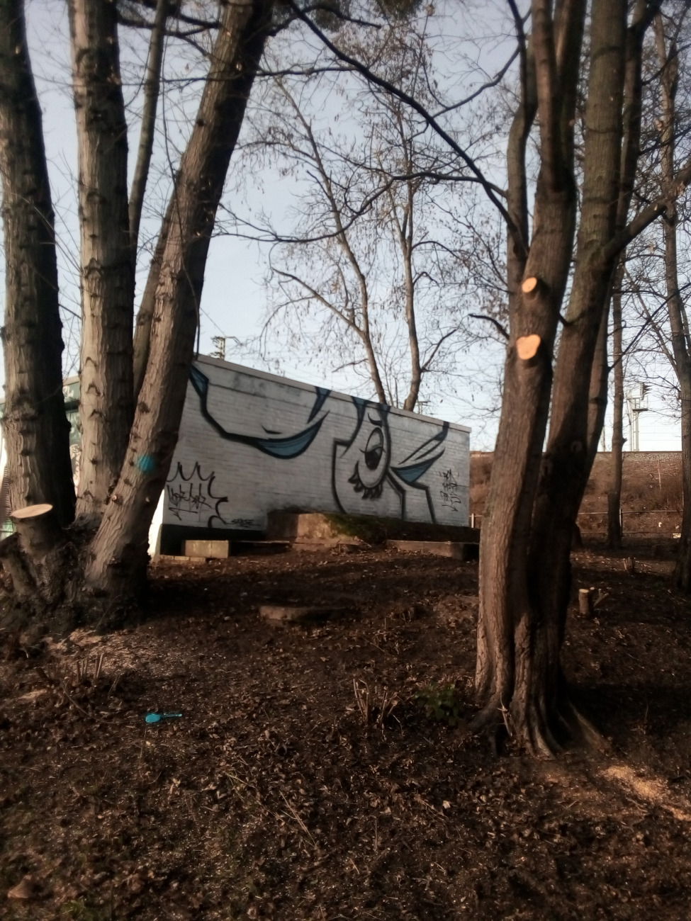 Graffiti Wall - Photo by Statist (2018)