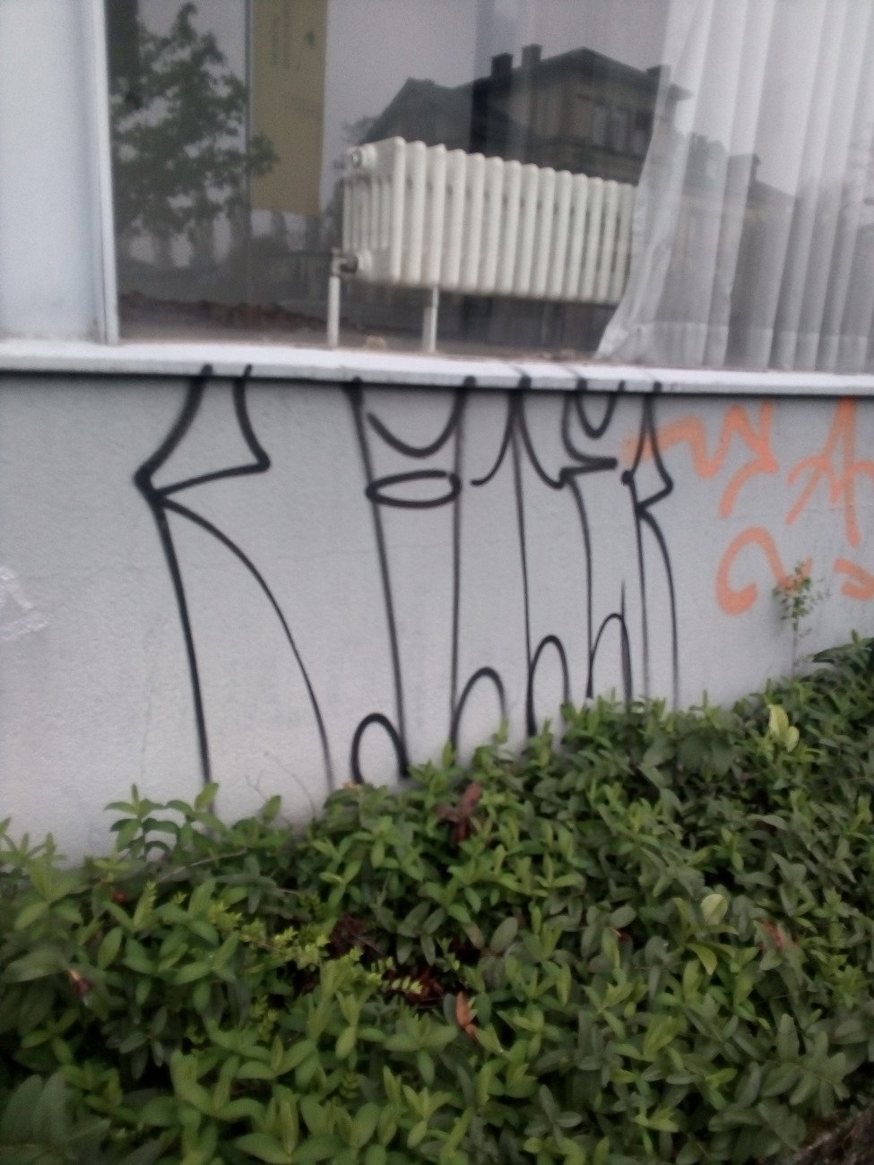 Graffiti Wall - Photo by Statist