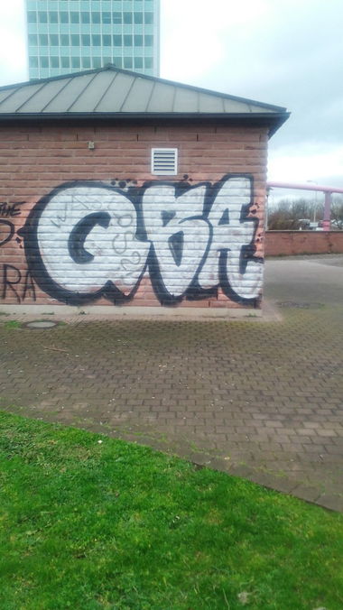 Graffiti Wall - Photo by Statist