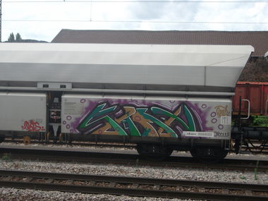 Graffiti Train - Photo by Statist