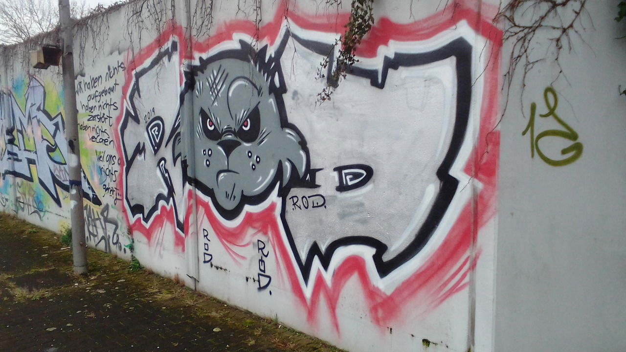 Graffiti Wall - Photo by Statist