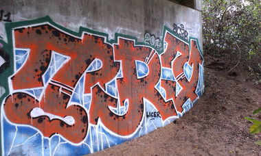 Graffiti Bombing in Karlsruhe - Photo by Still_Crazy - Trix, Triks, Trixer