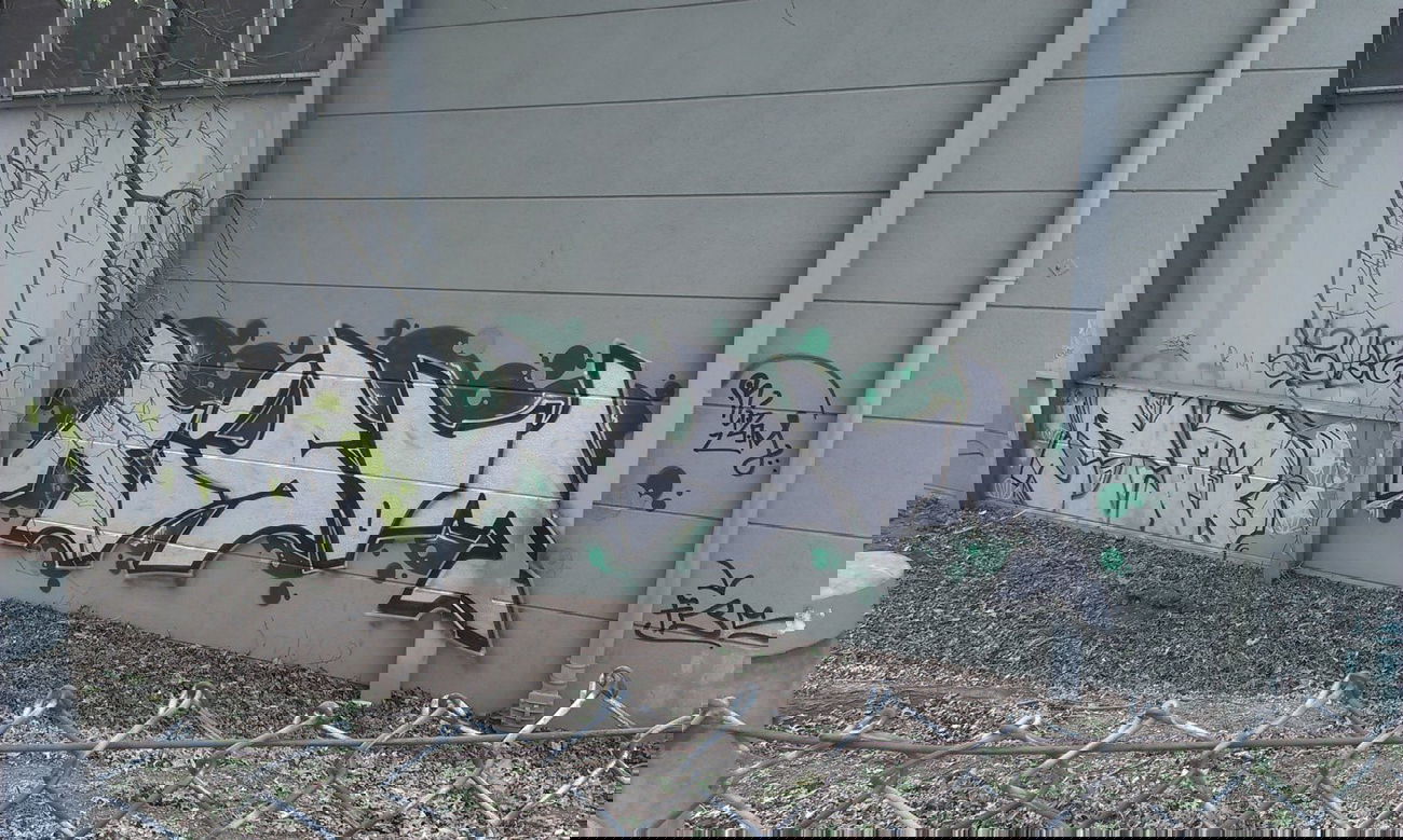 Graffiti Wall in Karlsruhe - Photo by Still_Crazy - Stoner, Stnr, Stn