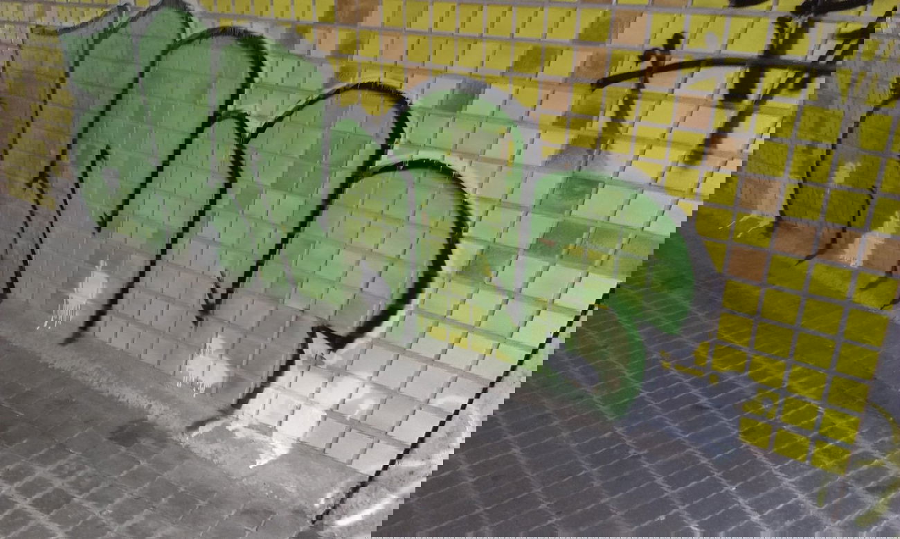 Graffiti Bombing in Karlsruhe - Photo by Still_Crazy - knu