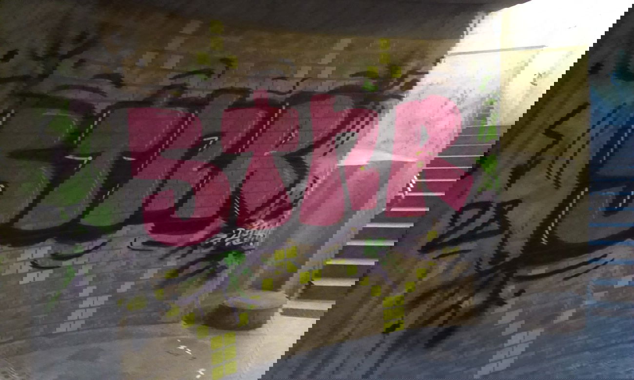 Graffiti Bombing in Karlsruhe - Photo by Still_Crazy - stoner, stnr