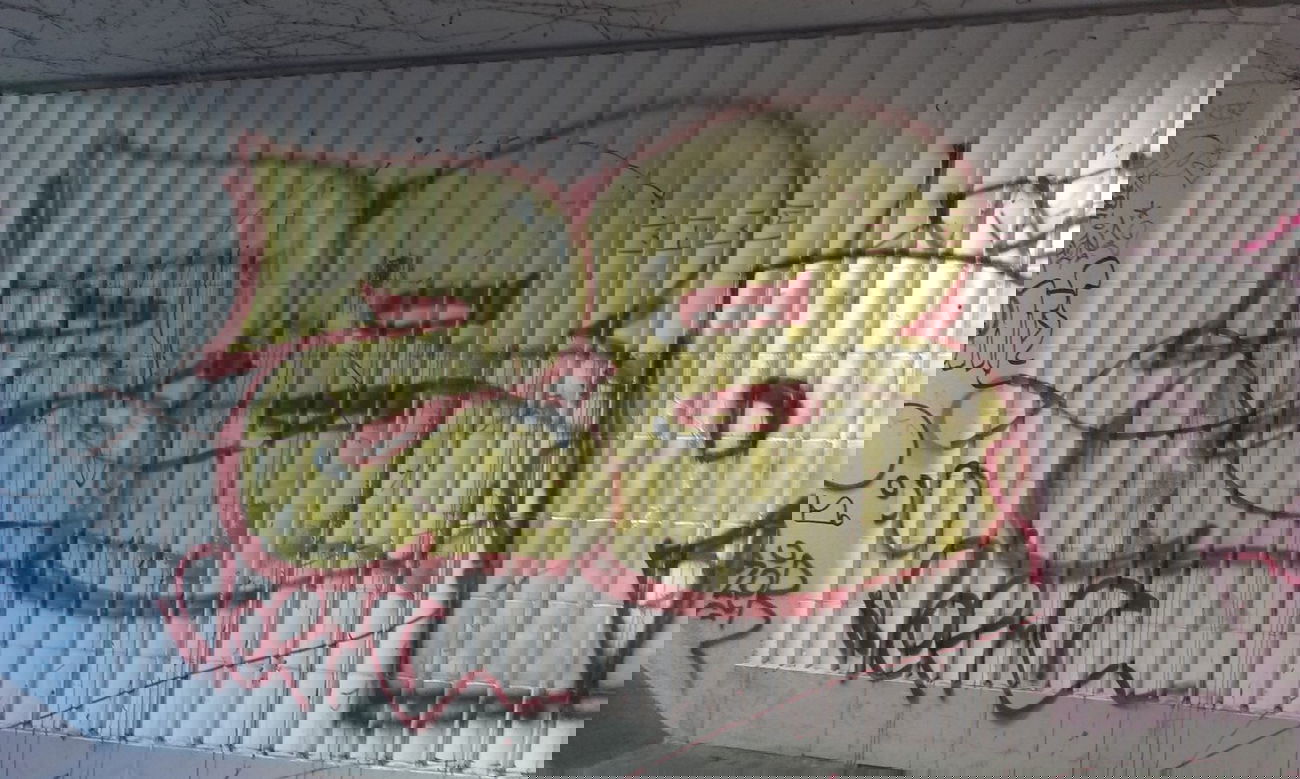 Graffiti Bombing in Karlsruhe - Photo by Still_Crazy - 28