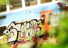 Photo #168232 by Pangea