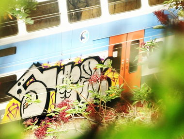 Graffiti Train - Photo by Stoner - praha, prague, ston.r (2015)