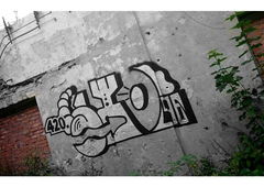 Photo #168231 by Rip