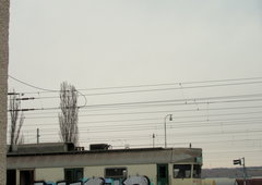 Photo #206672 by Omeqad92Ural