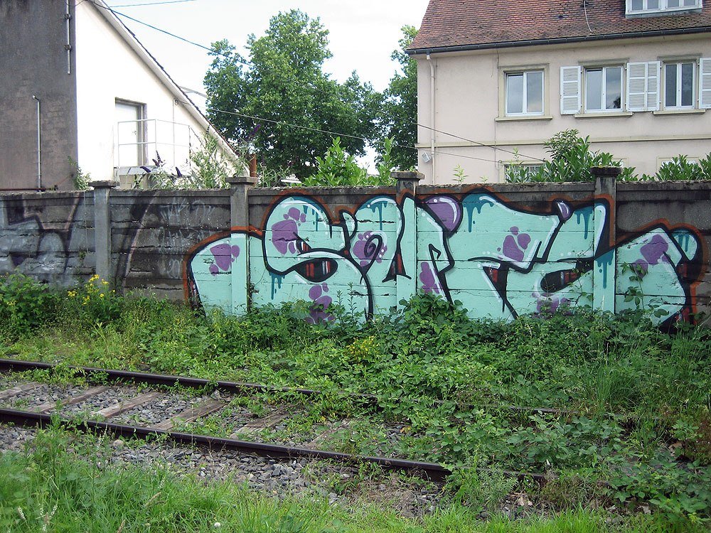 Graffiti Bombing - Photo by StrasbourgGraff