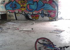 Photo #179815 by MGBonn