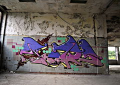 Photo #35583 by Belt