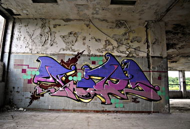 Graffiti Train - Photo by Streetfileslena - frankfurt (2013)