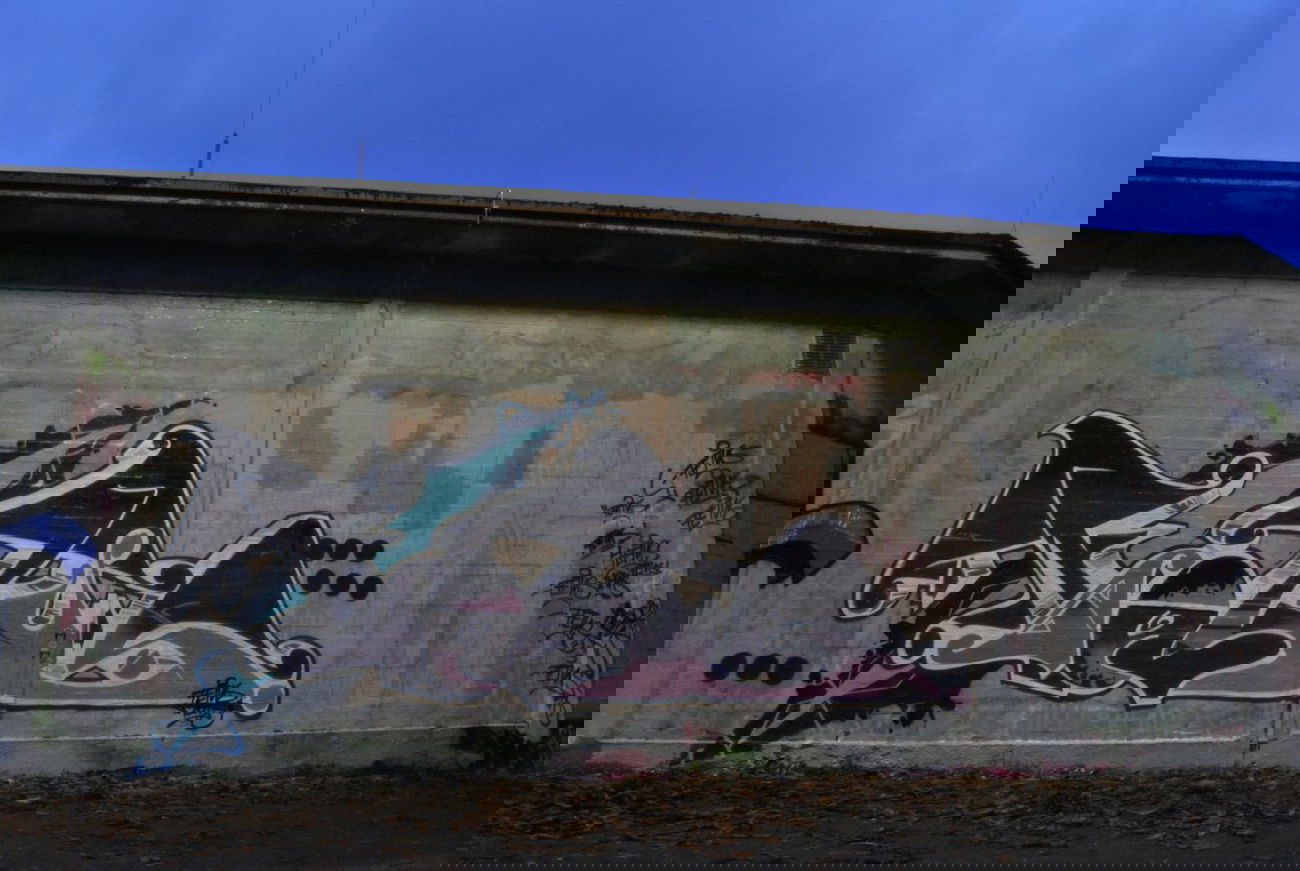 Graffiti Wall in Frankfurt - Photo by Streetfileslena - fötus