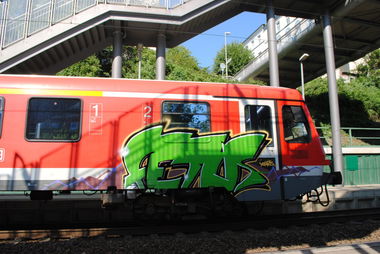 Graffiti Train in Hamburg - Photo by Streetfileslena (2012)