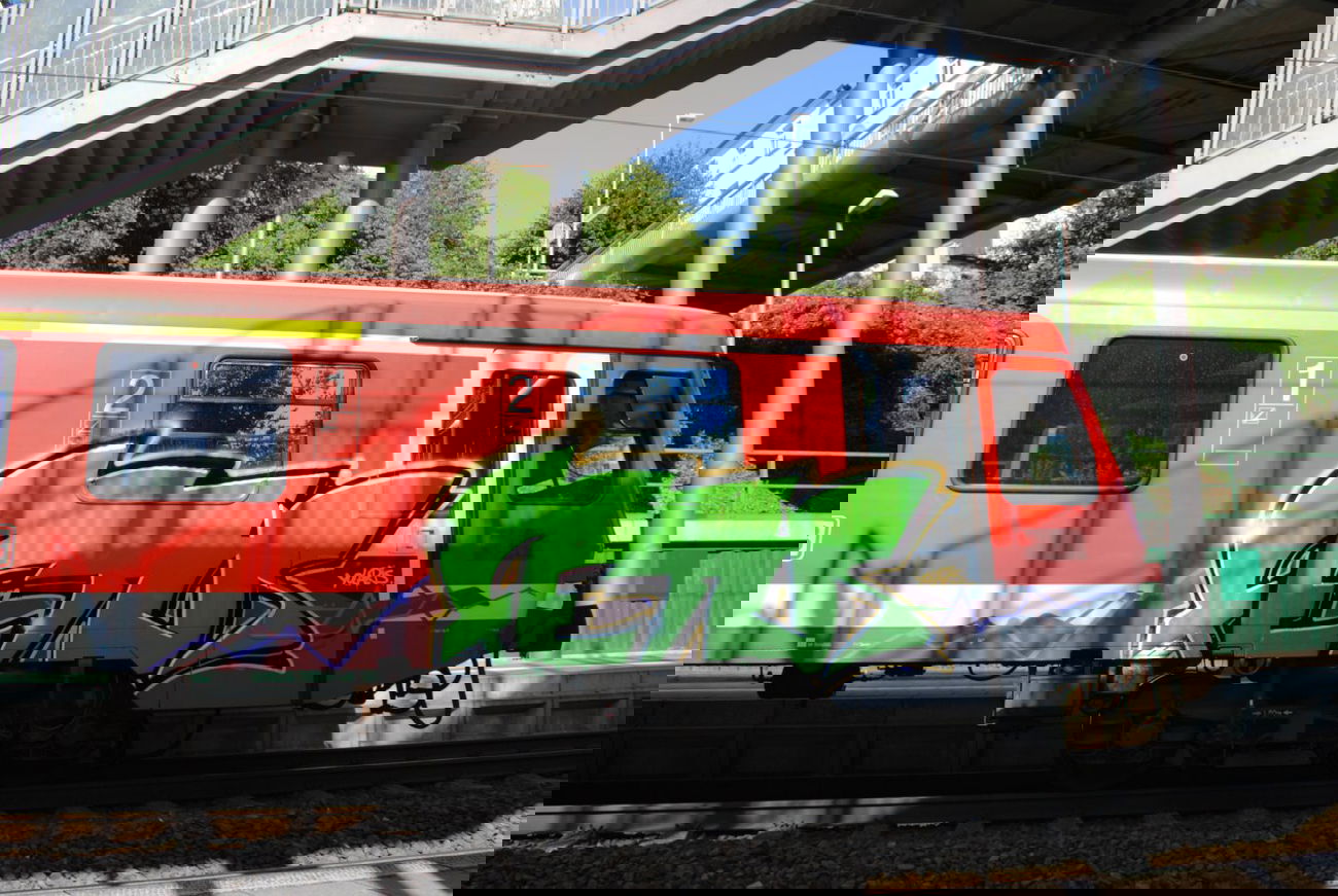 Graffiti Train in Hamburg - Photo by Streetfileslena (2012)