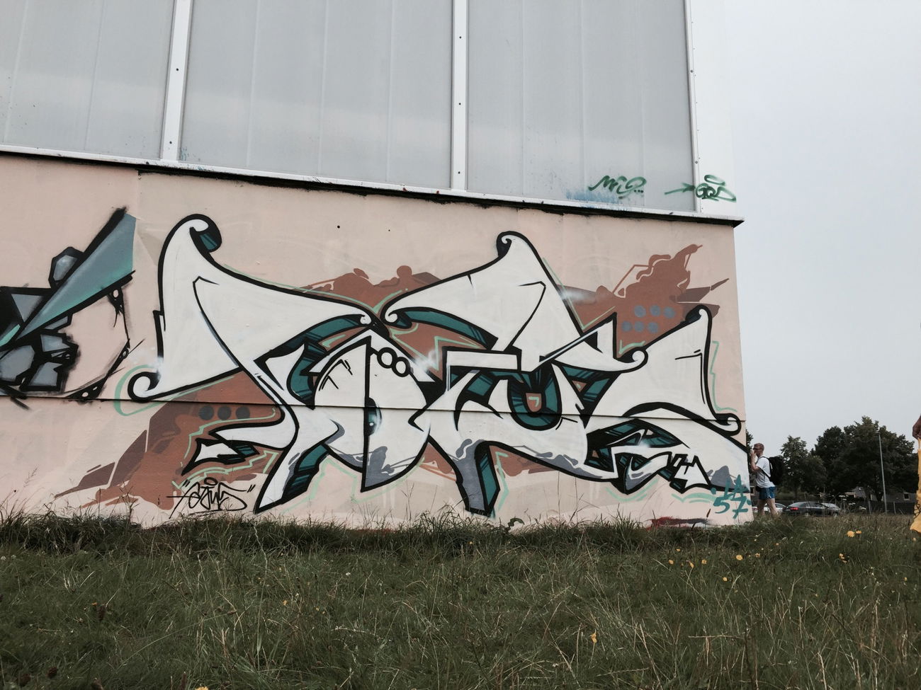 Graffiti Wall - Photo by Streetfileslena - Fötus (2015)