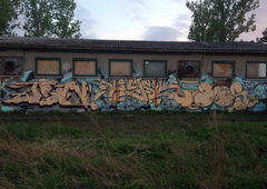 Photo #153159 by Kico_one