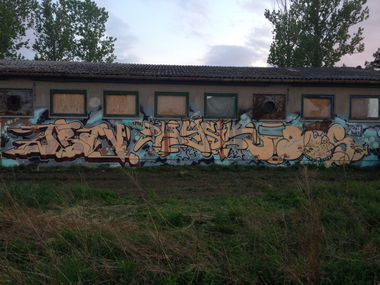 Graffiti Wall in Dresden  - Photo by Streetlover - Trav, Physik, ados (2015)