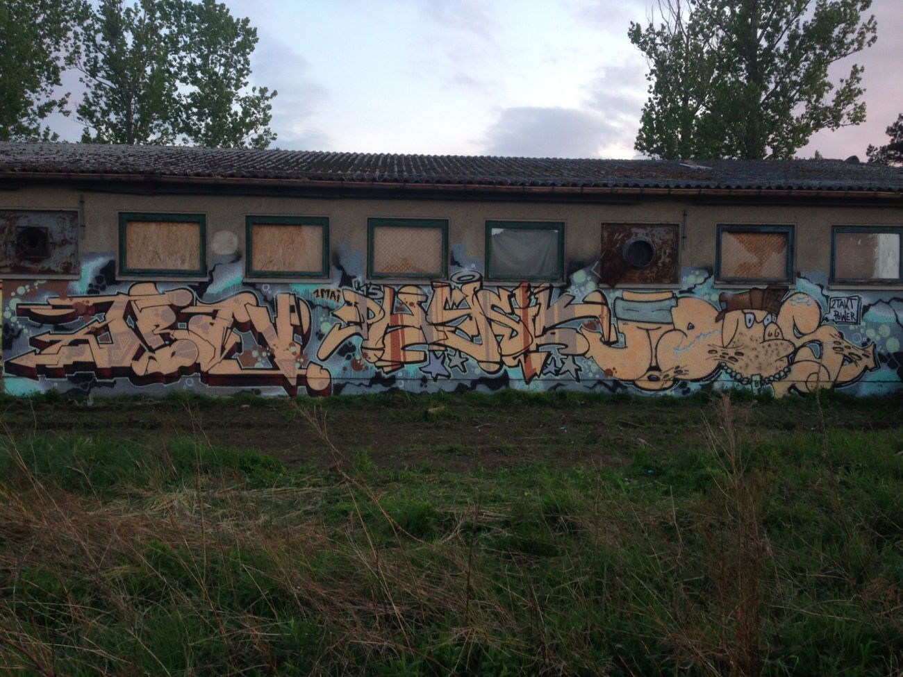 Graffiti Wall in Dresden  - Photo by Streetlover - Trav, Physik, ados (2015)