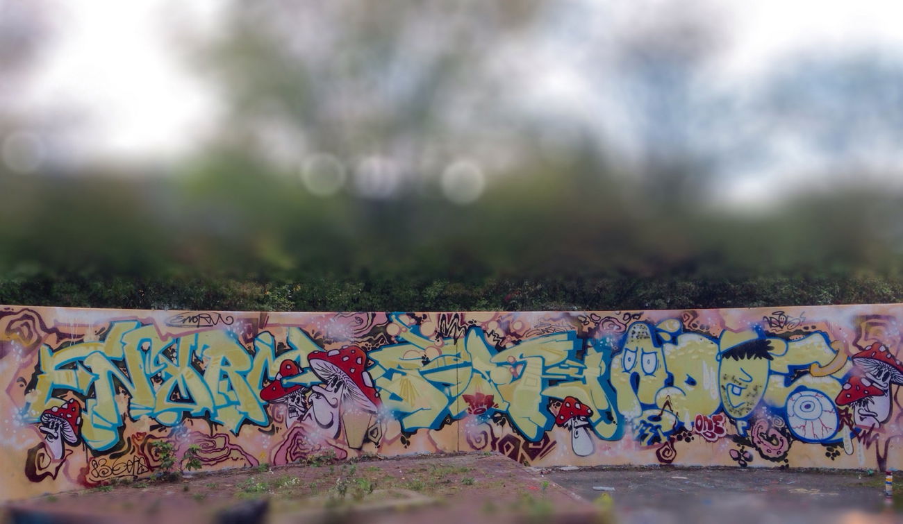 Graffiti Photo by Streetlover - Dresden, enorm, sassy