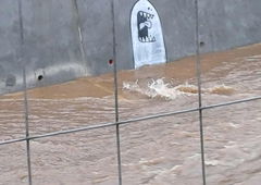 Photo #247250 by JOK