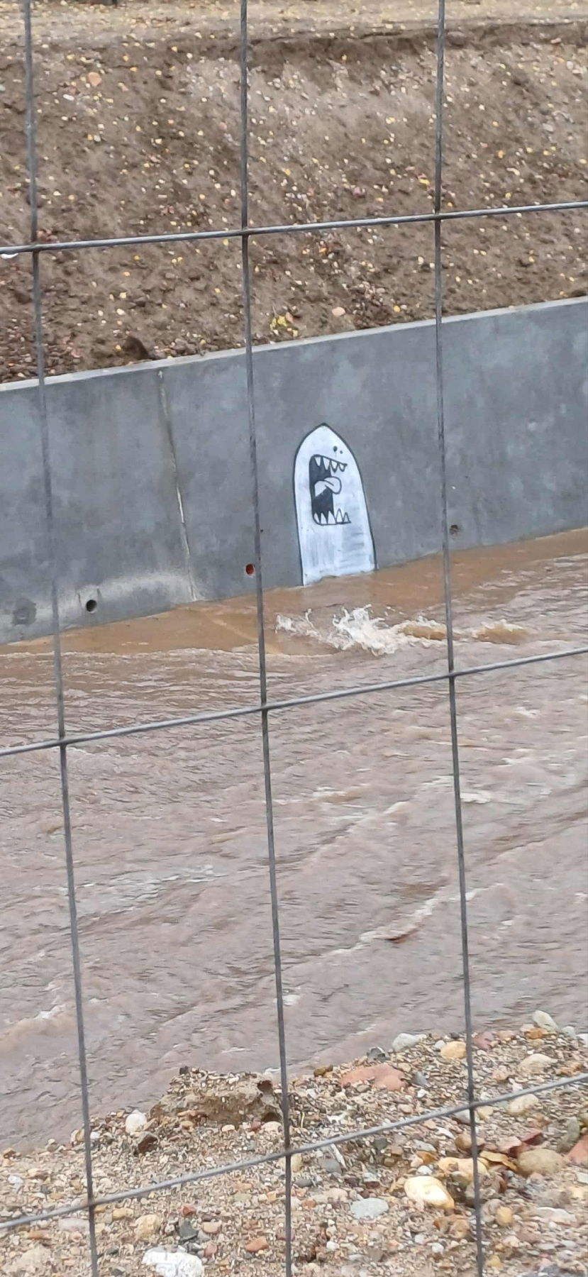 Graffiti Wall in Sofia - Photo by Style - style (2025)