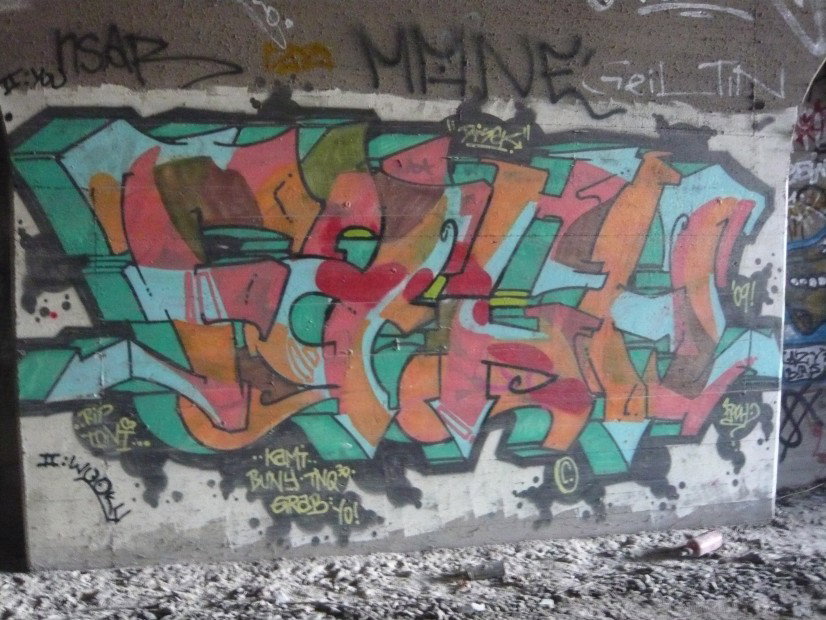 Graffiti Wall - Photo by StyleCanon - FACH