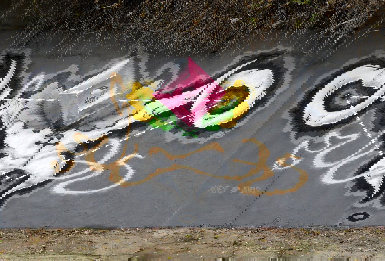 Graffiti Wall in Kyiv - Photo by Sugat - absurd, sugat, sugator (2013)