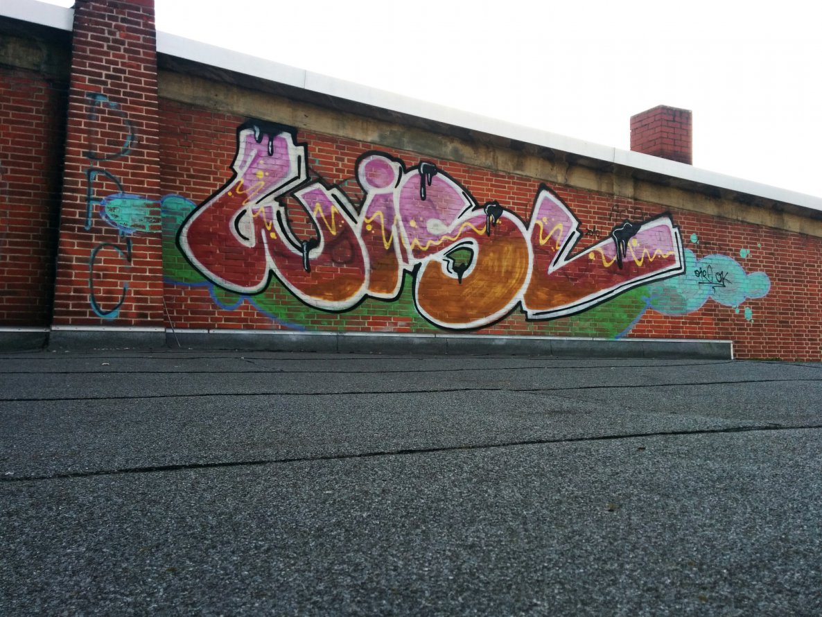 Graffiti Wall in Lüneburg - Photo by Suio - Wisl, Lüneburg, rooftop (2010)