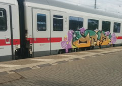 Photo #99997 by Willitanner