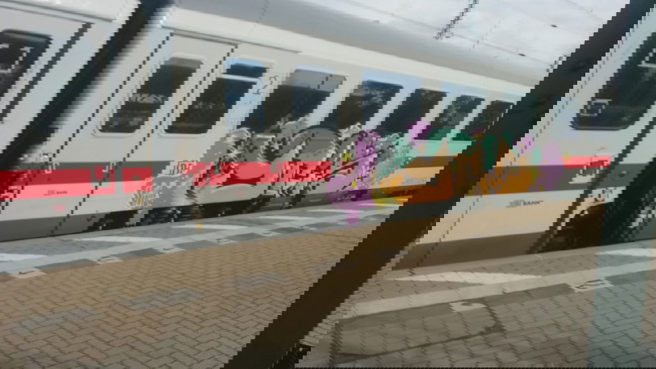 Graffiti Train in Lüneburg - Photo by Suio - Otis, Lüneburg (2014)