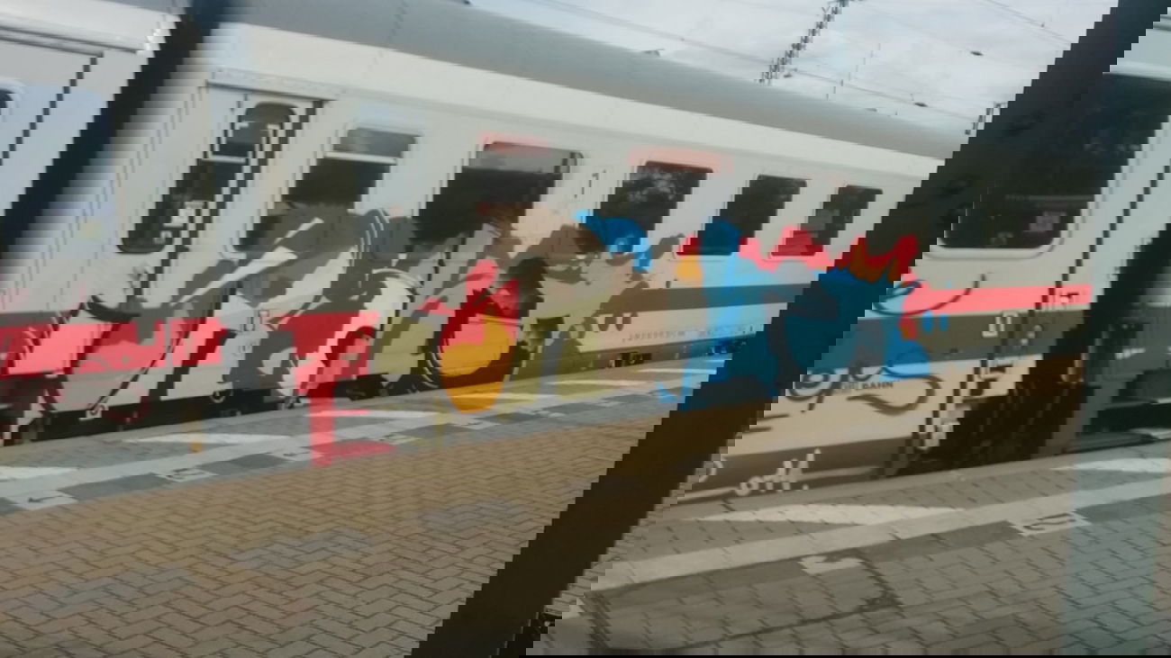 Graffiti Train in Lüneburg - Photo by Suio - Rache, Lüneburg (2014)