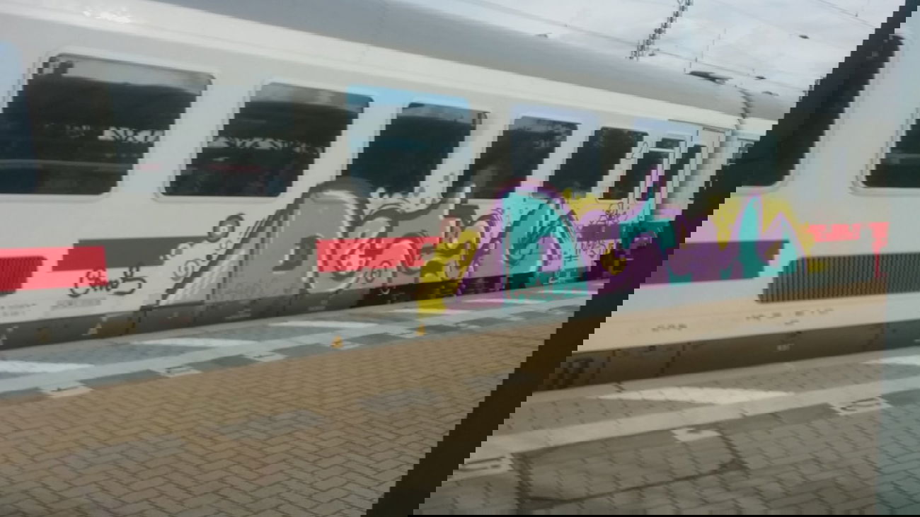 Graffiti Train in Lüneburg - Photo by Suio - Detail, Lüneburg (2014)