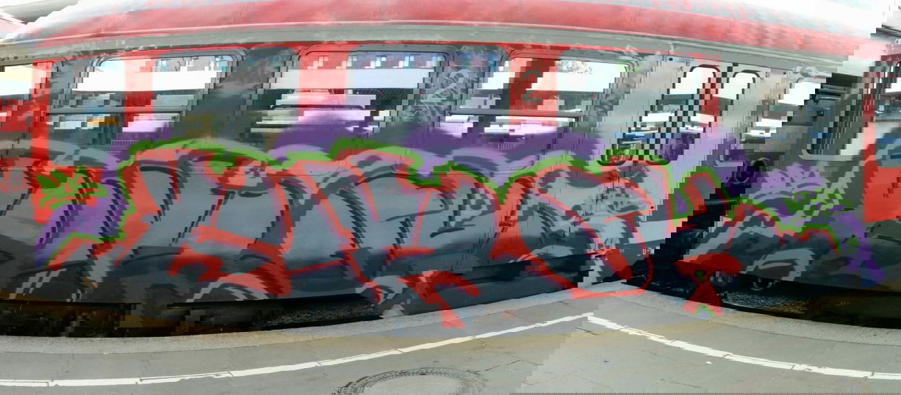 Graffiti Train in Hamburg - Photo by Suio - BDS, Hamburg (2014)